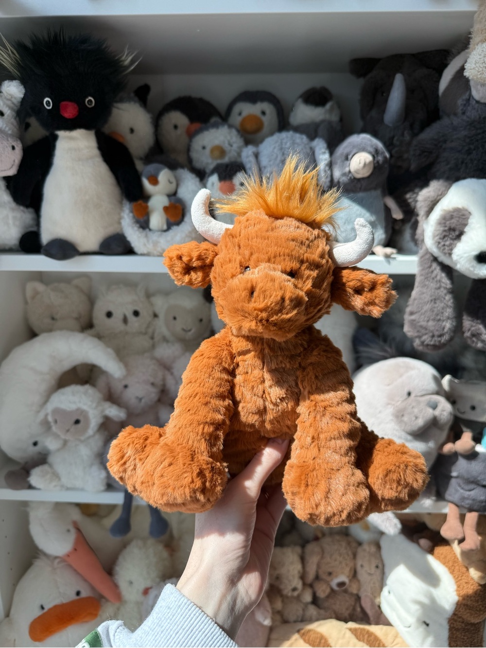 NWT Jellycat Fuddle Wuddle Highland Cow